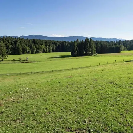 Log In Bavaria With Covered Terrace * Steingaden