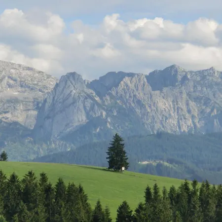Log In Bavaria With Covered Terrace